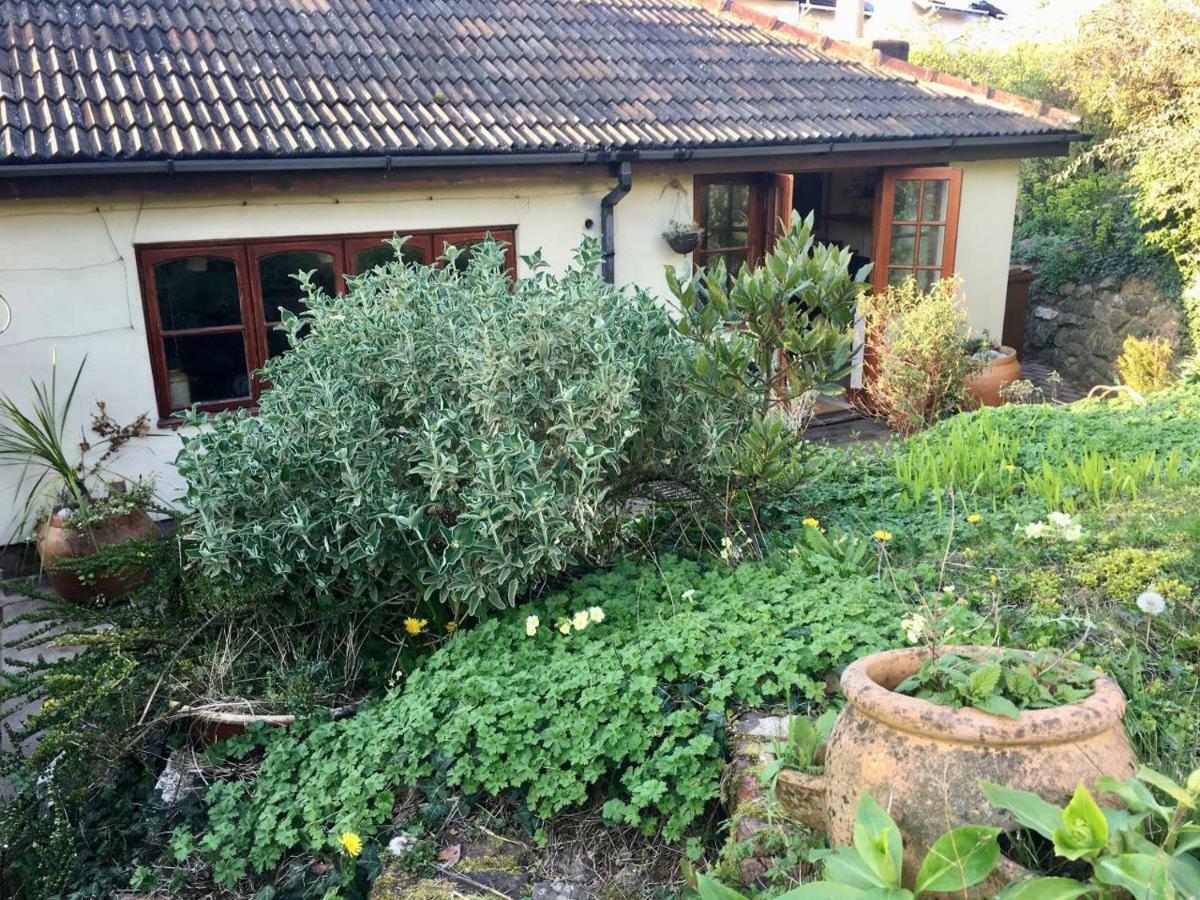 Secret Garden Cottage Exeter Extérieur photo