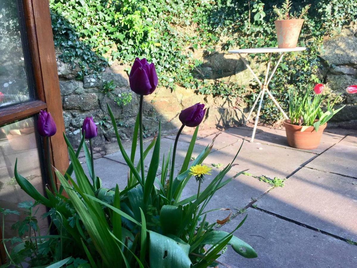 Secret Garden Cottage Exeter Extérieur photo