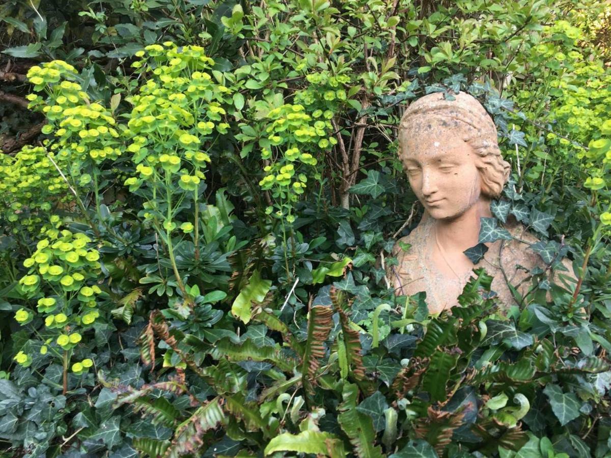 Secret Garden Cottage Exeter Extérieur photo