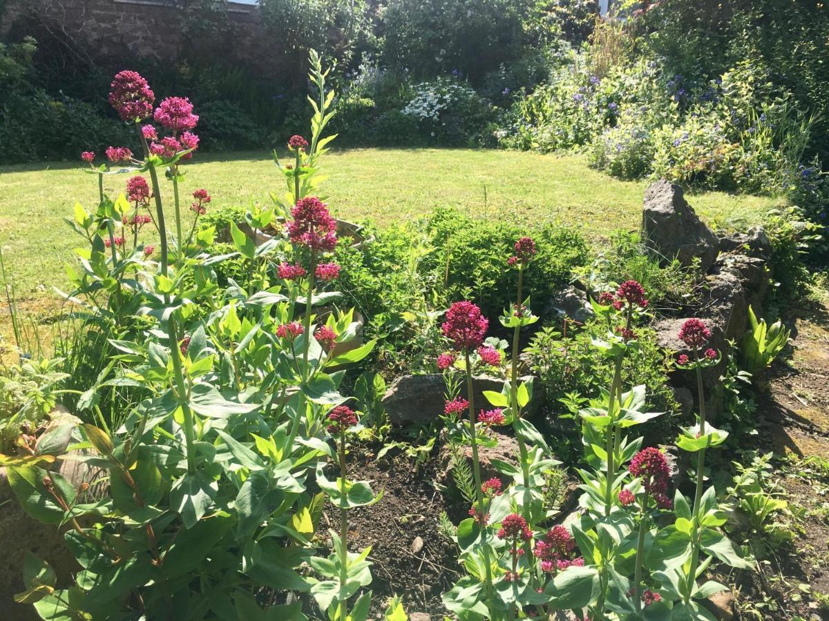 Secret Garden Cottage Exeter Extérieur photo